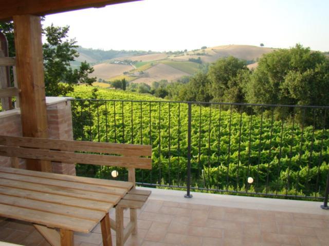 Agriturismo Vecchio Gelso Ortezzano Kültér fotó