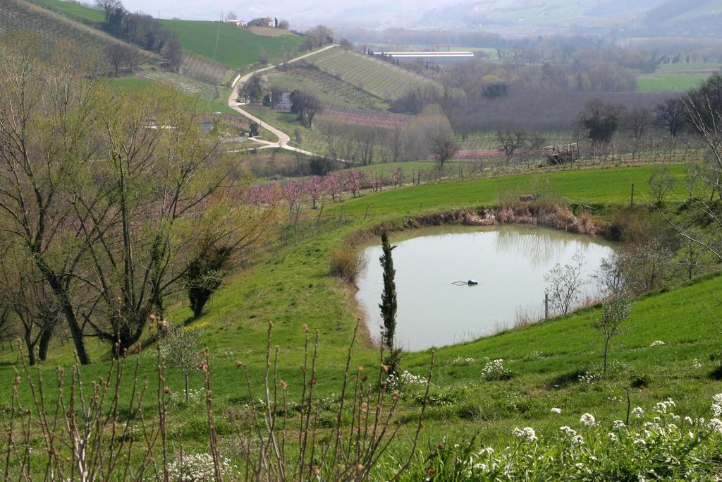 Agriturismo Vecchio Gelso Ortezzano Kültér fotó