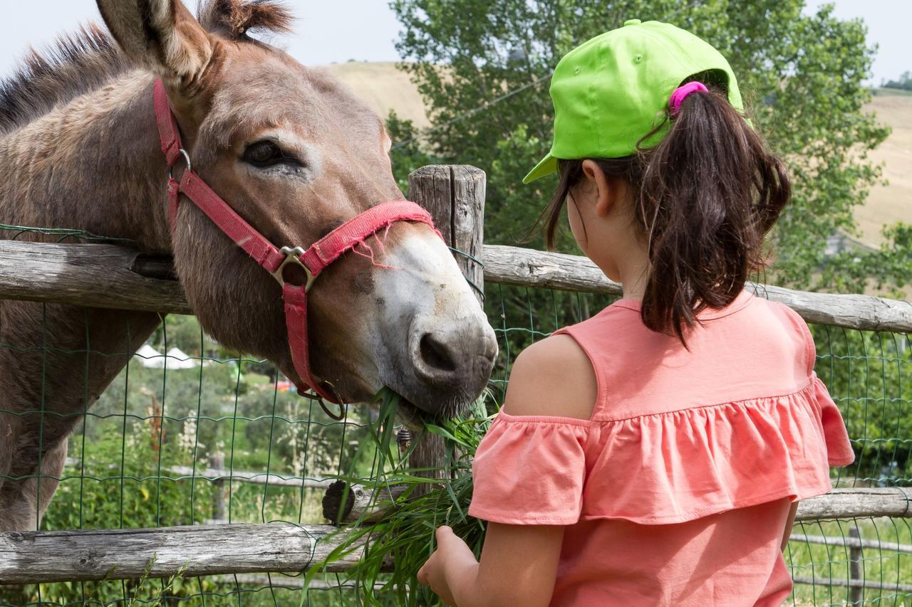 Agriturismo Vecchio Gelso Ortezzano Kültér fotó