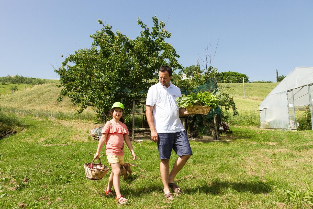 Agriturismo Vecchio Gelso Ortezzano Kültér fotó